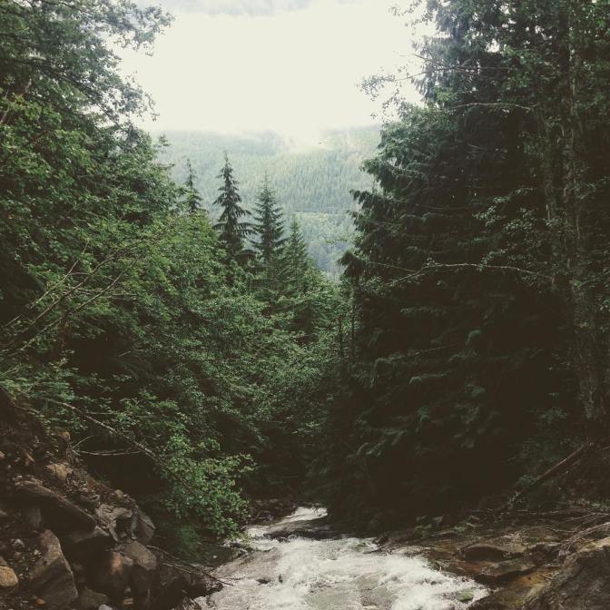 36289019_10100605467430640_8723567156475723776_o